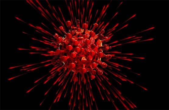 चमगादड़ से ही क्यूं फैलते हैं तबाही मचाने वाले खतरनाक वायरस?