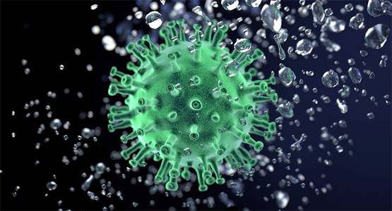 वैज्ञानिकों को इस जानवर में दिखा कोरोना का इलाज, दुनिया में जगी उम्मीद