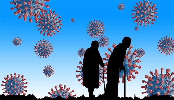 वैज्ञानिकों को इस जानवर में दिखा कोरोना का इलाज, दुनिया में जगी उम्मीद