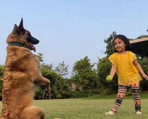 VIDEO: धोनी के डॉगी ने पकड़े बेहतरीन कैच, जीवा दे रहीं टफ ट्रेनिंग