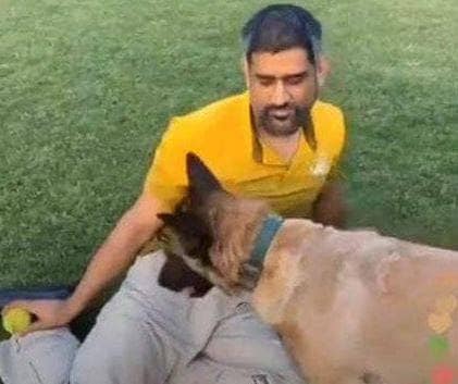 फैंस को नहीं भा रही धोनी की सफेद दाढ़ी, ट्विटर पर की ये मांग