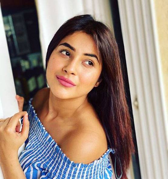 सिद्धार्थ के बाद जस्सी गिल संग म्यूजिक वीडियो में नजर आएंगी शहनाज