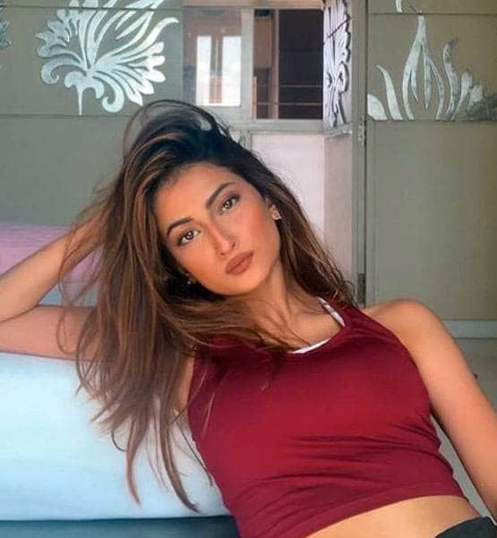 पलक तिवारी ने करवाया ग्लैमरस फोटोशूट, देखने को मिला बोल्ड अवतार