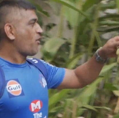 माही की सॉलिड एंट्री देख फैंस चिल्लाने लगे धोनी-धोनी, देखें VIDEO