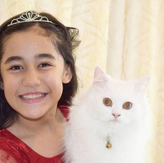 लॉकडाउन: ऑनलाइन पढ़ाई कर रहीं कुल्फी कुमार फेम आकृति, बताया पूरा शेड्यूल