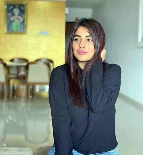 सिद्धार्थ के बाद जस्सी गिल संग म्यूजिक वीडियो में नजर आएंगी शहनाज