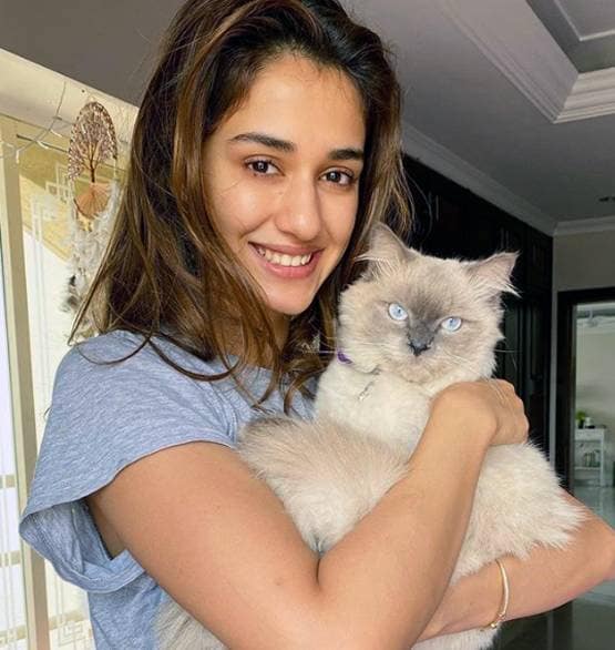 समंदर किनारे दिशा पाटनी का कैंडिड पोज, मोनोकनी में दिखीं ग्लैमरस