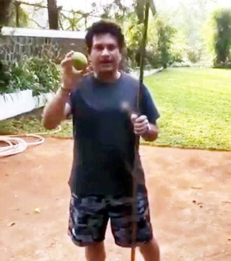 VIDEO: सचिन ने पेड़ से गिराए नींबू, भज्जी बोले- पाजी 2-3 मुझे भी दे दो