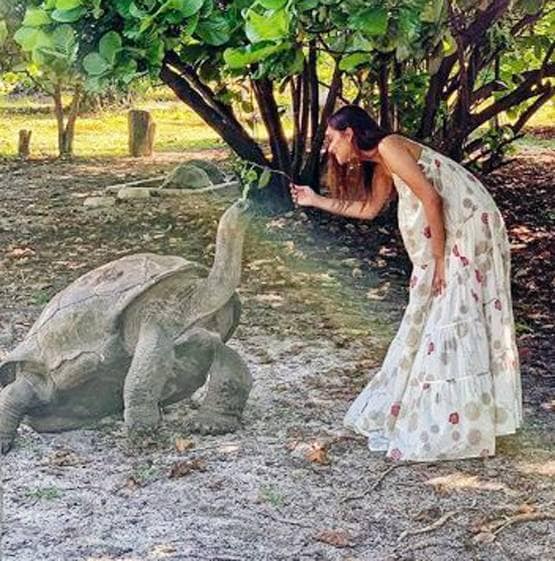 रियल लाइफ में एडवेंचरस हैं मानुषी, कोरोना के चलते अटकी पहली फिल्म