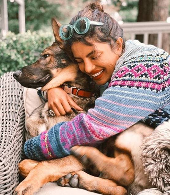 प्रियंका चोपड़ा का वर्क फ्रॉम होम स्टाइल, जूम मीट‍िंग इस लुक में करें अटेंड