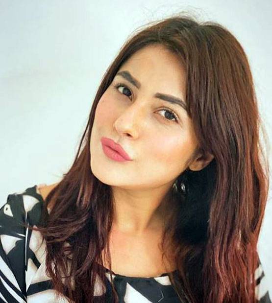 सिद्धार्थ के बाद जस्सी गिल संग म्यूजिक वीडियो में नजर आएंगी शहनाज