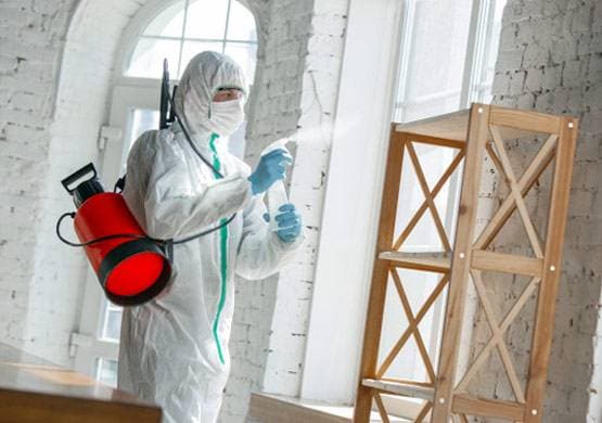 सरकारें जिसे समझ रहीं कोरोना के खात्मे का तरीका, उस पर WHO की चेतावनी