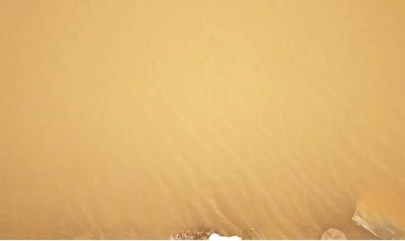 तालाब का पानी हुआ लाल, मरने लगीं मछलियां, सामने आई ये वजह