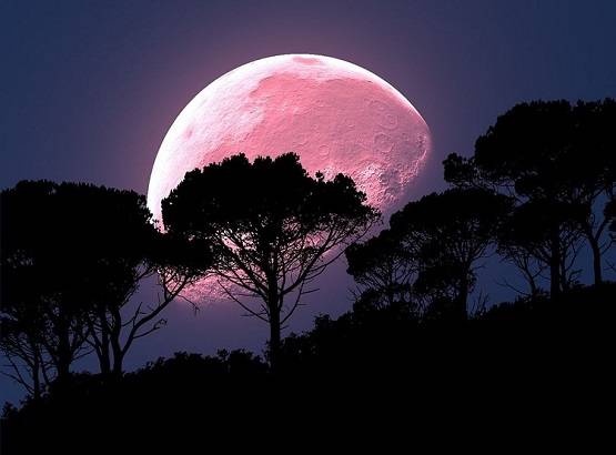 सुपरमून देखने के लिए साल का आखिरी मौका! जानें भारत में किस वक्त आने वाला है नजर