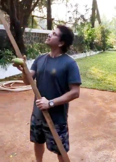 VIDEO: सचिन ने पेड़ से गिराए नींबू, भज्जी बोले- पाजी 2-3 मुझे भी दे दो