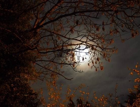 सुपरमून देखने के लिए साल का आखिरी मौका! जानें भारत में किस वक्त आने वाला है नजर