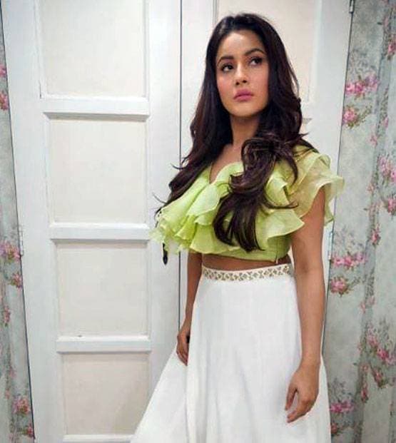 सिद्धार्थ के बाद जस्सी गिल संग म्यूजिक वीडियो में नजर आएंगी शहनाज