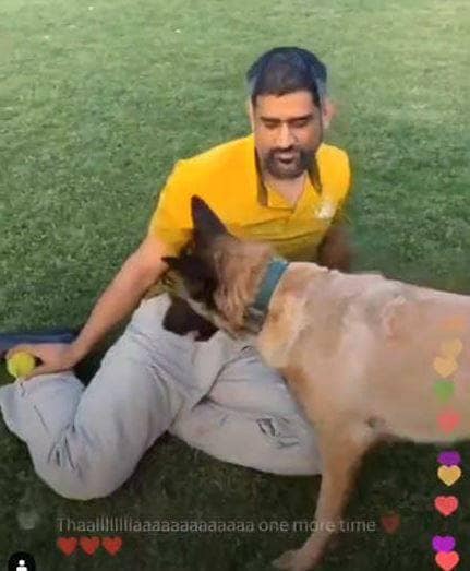 धोनी के लेटेस्ट लुक पर चहल की गुगली, किया ये मजेदार कमेंट