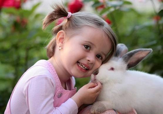 अब आया नया खतरनाक वायरस, खरगोशों की लगातार हो रही मौतें!