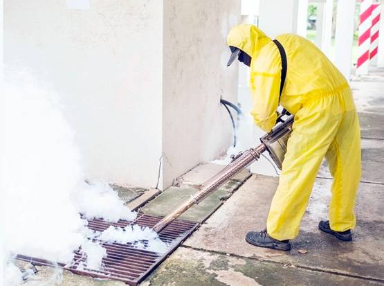 सरकारें जिसे समझ रहीं कोरोना के खात्मे का तरीका, उस पर WHO की चेतावनी