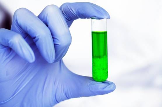 वैक्सीन के बाद बंदरों में बेअसर कोरोना, दो प्रयोगों ने जगाई उम्मीद