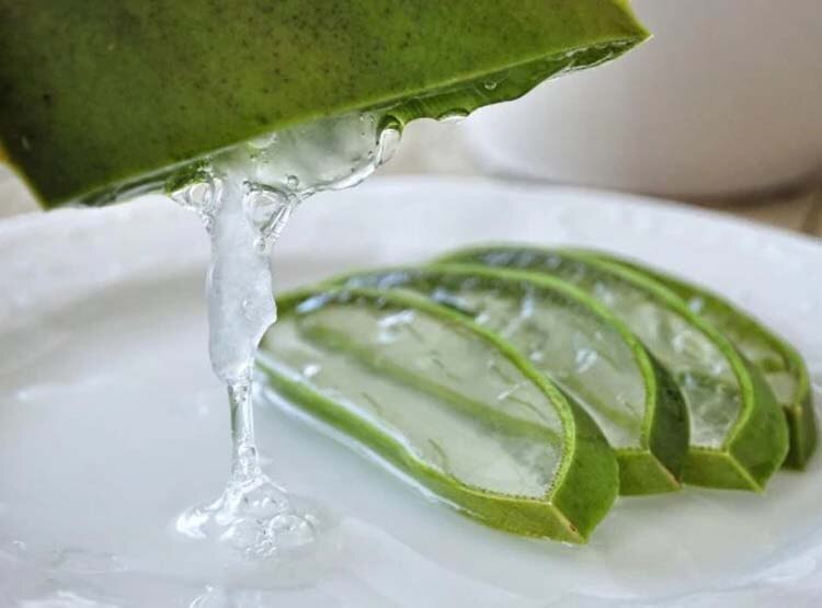एलोवेरा का रस