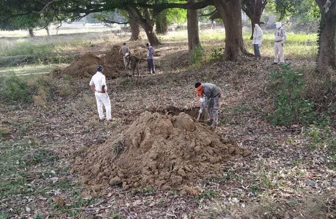 अचानक सैकड़ों की संख्या में जमीन पर गिरकर मरने लगे चमगादड़