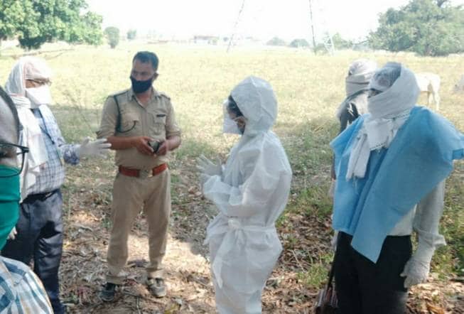 अचानक सैकड़ों की संख्या में जमीन पर गिरकर मरने लगे चमगादड़