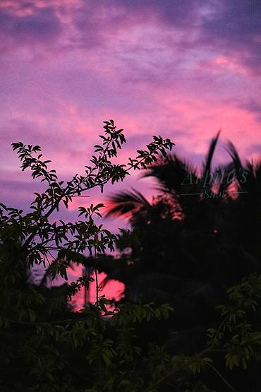 सदी के सबसे बड़े तूफान के बाद इस शहर में आसमान ने बदला रंग, हुआ गुलाबी