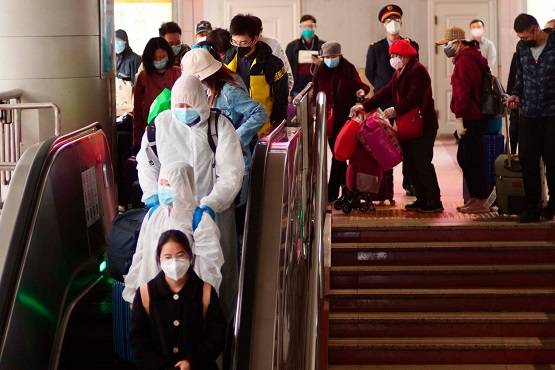 आखिरकार वुहान में जंगली जानवरों के खाने पर लगाया गया बैन