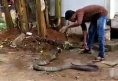 गर्मी से परेशान था कोबरा, युवक ने बाल्टी भर पानी से नहलाया, वीडियो वायरल
