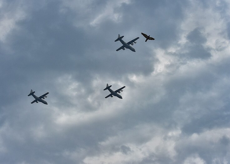 कोरोना वॉरियर्स को तीनों सेनाओं का सलाम, आसमान से फूलों की बारिश