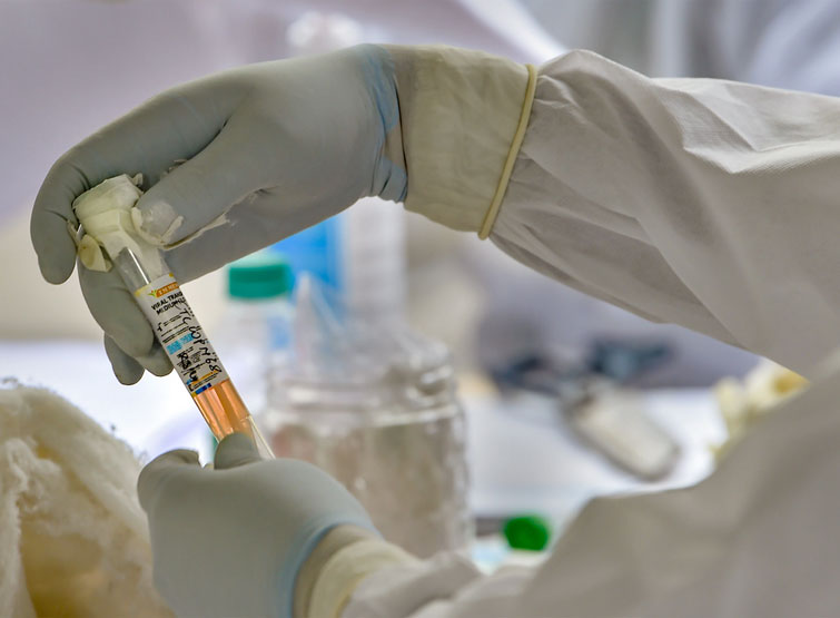 फाइल फोटो