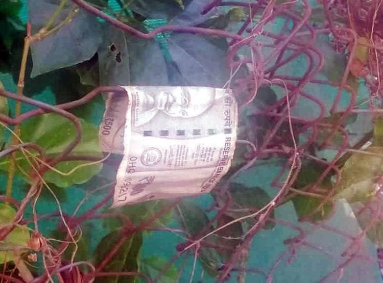 मछली पकड़ने गया था बच्चा, तालाब में मिली 500-2000 के नोटों की गड्डी