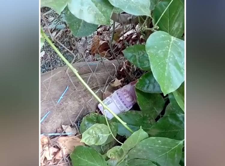 मछली पकड़ने गया था बच्चा, तालाब में मिली 500-2000 के नोटों की गड्डी