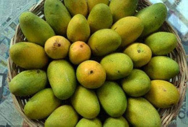 पैकेज में बिहार के मखाने और UP के आम का जिक्र, जानें- क्या है प्लान