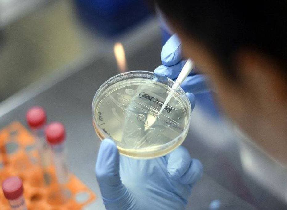 मां के दूध से बनाई जा सकती है कोरोना की एंटीबॉडी, रिसर्च में दावा