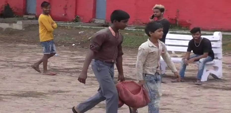 तालाब में अचानक मर गईं हजारों मछलियां, बोरे भरकर लूट ले गए लोग