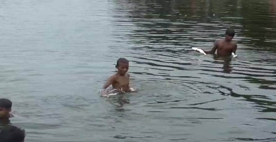 तालाब में अचानक मर गईं हजारों मछलियां, बोरे भरकर लूट ले गए लोग