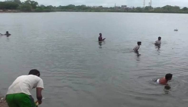 तालाब में अचानक मर गईं हजारों मछलियां, बोरे भरकर लूट ले गए लोग