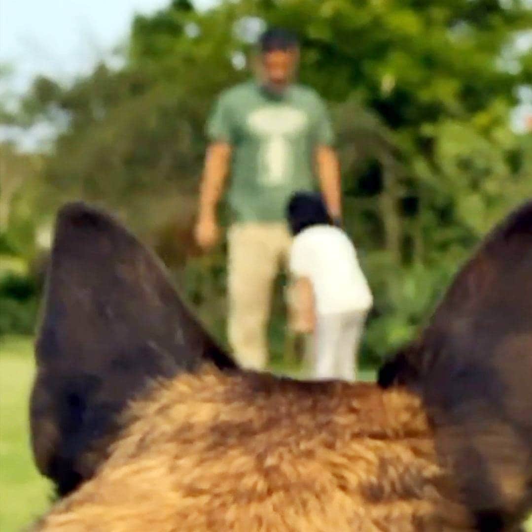 लॉकडाउन में धोनी का ऐसा चेहरा..? माही का ये लुक हुआ वायरल