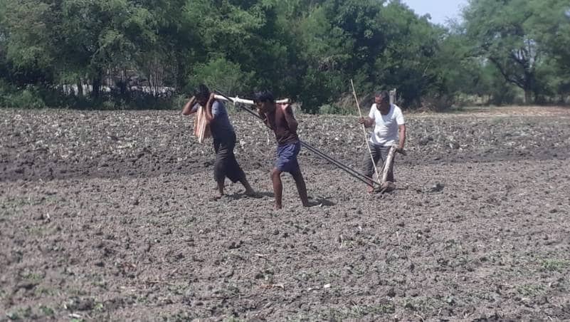 गरीबी में बीमार पड़े बैल तो बेटों को हल से लगाकर किसान ने जोता खेत