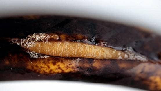 'बनाना कोविड' से केलों की फसल पर संकट, भारत बन सकता है हॉटस्पॉट