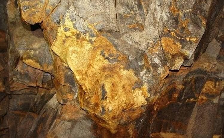 बैंक लॉकर में रखा था सोना, मालिक ने जाकर खोला तो निकले पत्थर