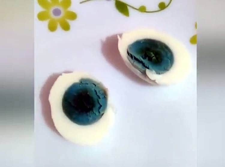 केरल में मुर्गियों ने दिया हरी जर्दी वाला अंडा, वैज्ञानिक भी हैरान