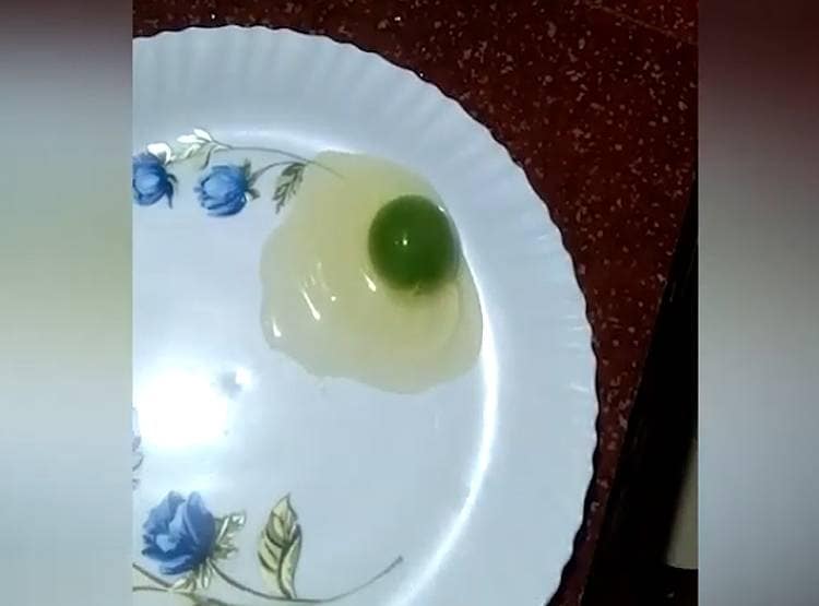 केरल में मुर्गियों ने दिया हरी जर्दी वाला अंडा, वैज्ञानिक भी हैरान
