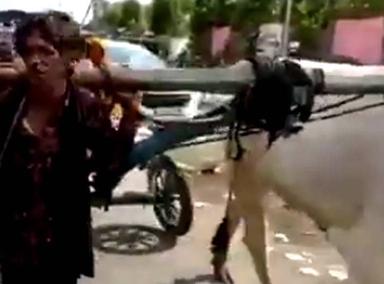 मजदूर की मजबूरी: खर्च के लिए पहले बेचा बैल फिर खुद खींच रहा गाड़ी