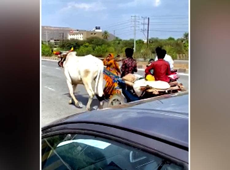 मजदूर की मजबूरी: खर्च के लिए पहले बेचा बैल फिर खुद खींच रहा गाड़ी