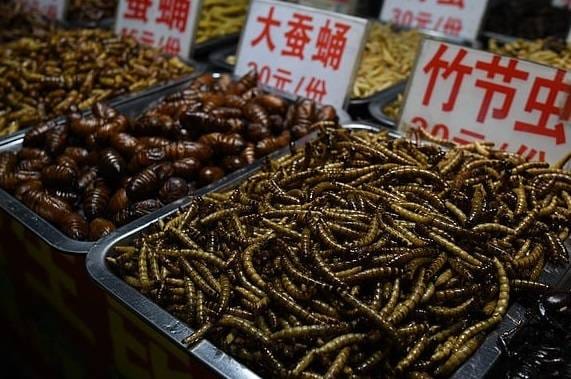 चीन में 70 दिनों बाद खुली कीड़ों की मार्केट, लेकिन लोगों के लिए ये शर्तें