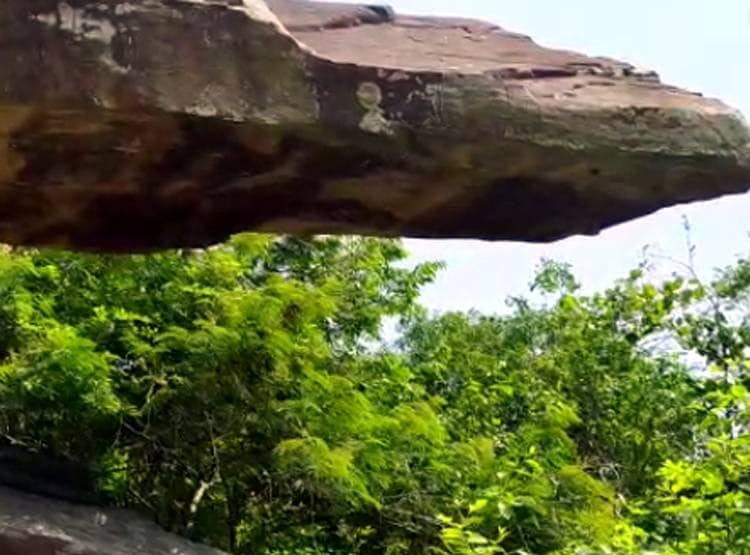 इस वजह से गुफा में रहने को मजबूर परिवार, कंद-मूल खाकर कर रहे गुजारा